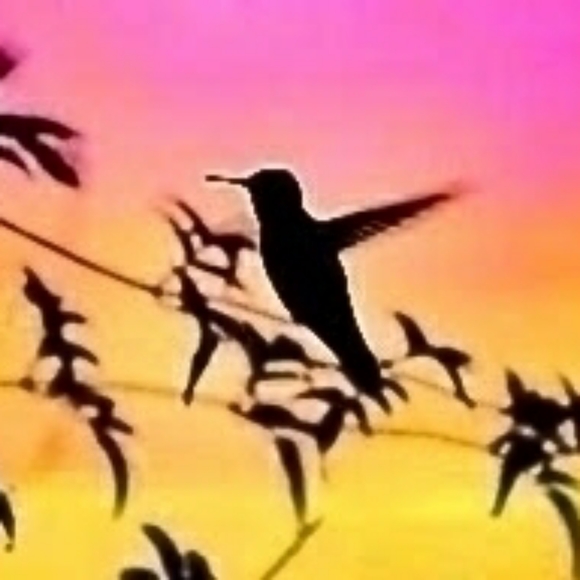 Meet your Posher, Love - Picture 4 of 8